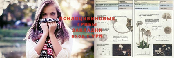 стафф Заволжье