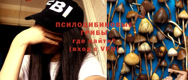 МДМА Заволжск