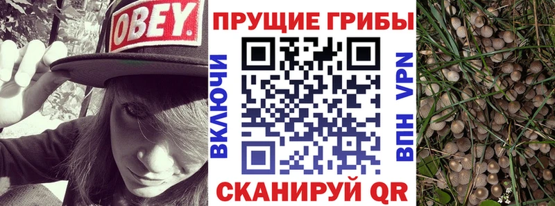 Галлюциногенные грибы мухоморы  Купить  Фокино 