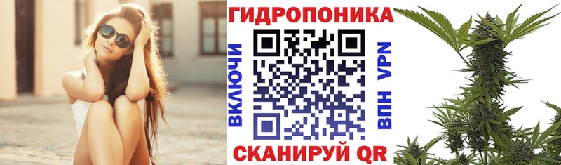 Купить закладки  Фокино  Бошки Шишки конопля 